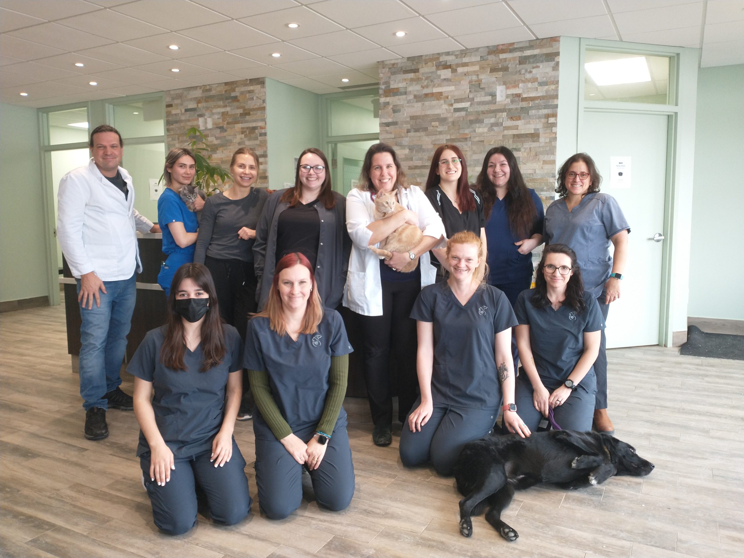 Team The Hamlet Veterinary Hospital