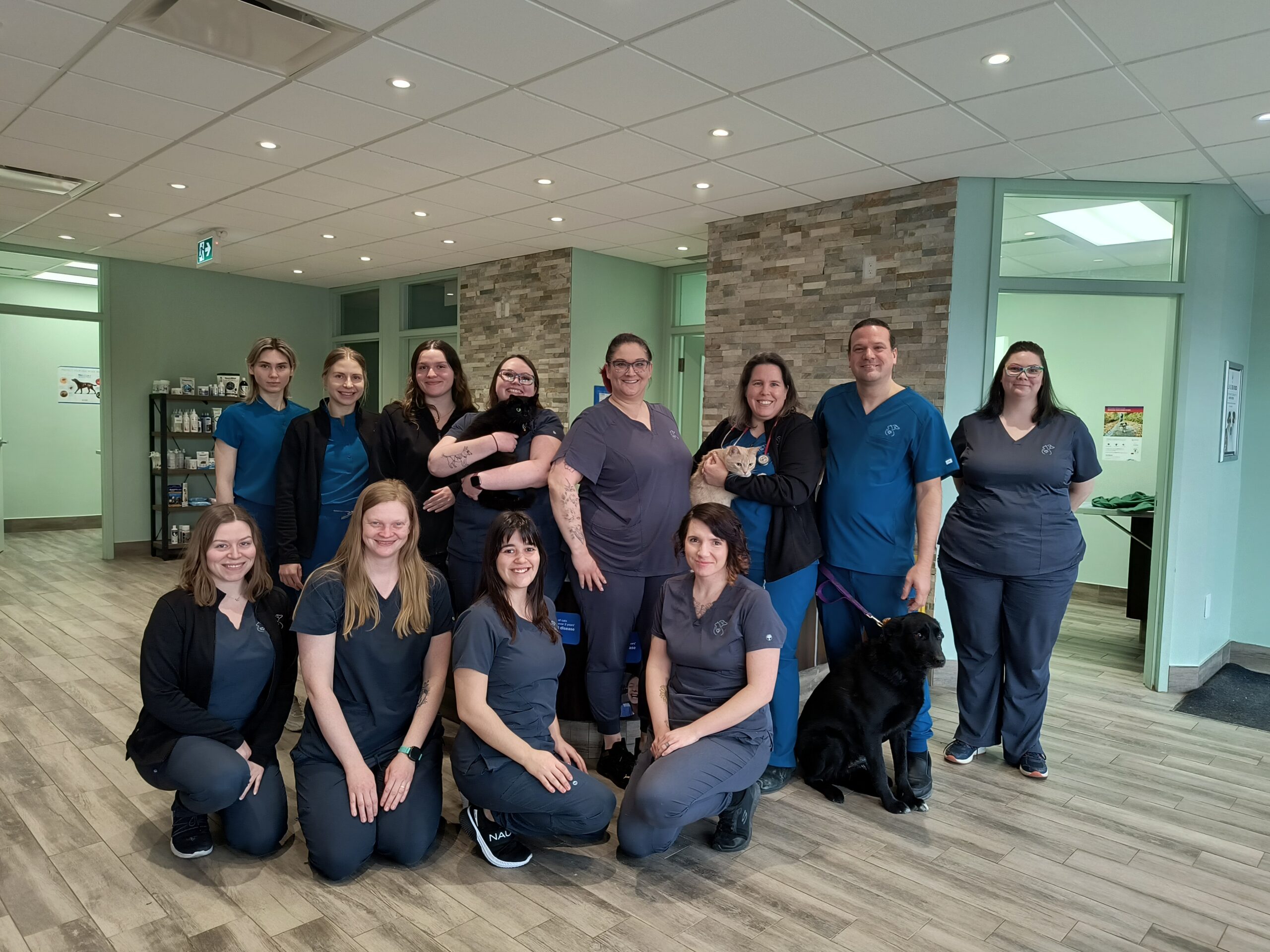 Team The Hamlet Veterinary Hospital
