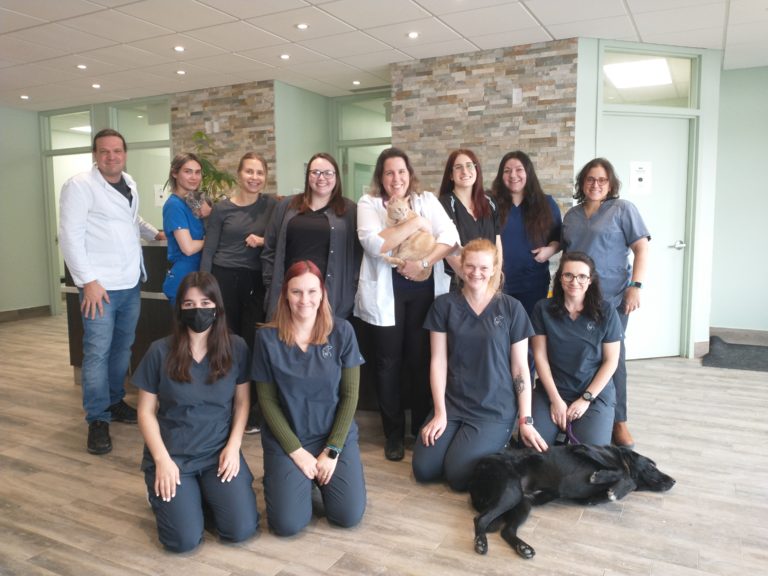 Équipe de l'hôpital vétérinaire du Hamlet